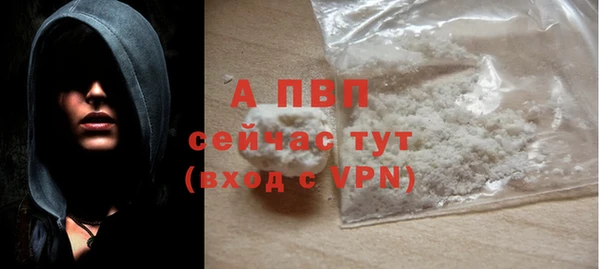 индика Богданович
