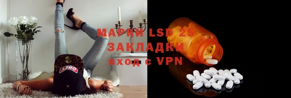 индика Богданович