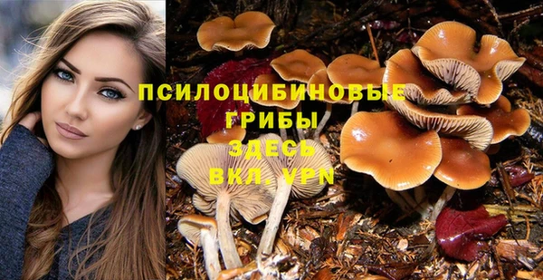jwh Белокуриха