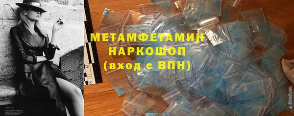 индика Богданович