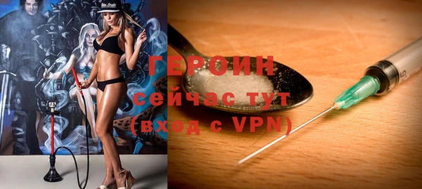индика Богданович
