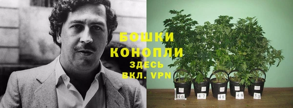 jwh Белокуриха